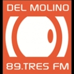 Del Molino FM Uruguay, Pando