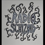 Radio Schizoid - Progressive Psychedelic Trance India, Mumbai
