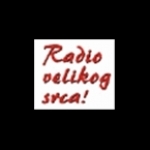 Radio Buca Serbia, Novi Sad