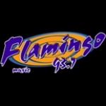Flamingo Stereo 93.7 Mexico, Ciudad Delicias