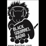 Black Squirrel Radio OH, Kent
