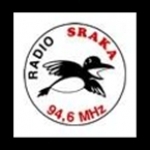 Radio Sraka Slovenia, Novo mesto