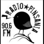 Ràdio Pinsania Spain, Berga