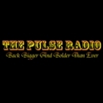 The Pulse Radio MA, Worcester