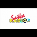 Radio Saska Serbia, Mosna