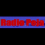 Radio Peja Serbia, Pec