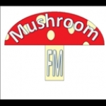 Mushroom FM New Zealand, Putiki