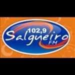 Radio Salgueiro FM Brazil, Salgueiro
