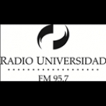 Radio Universidad Argentina, Mar del Plata