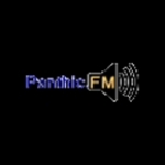 Panthic.FM United States